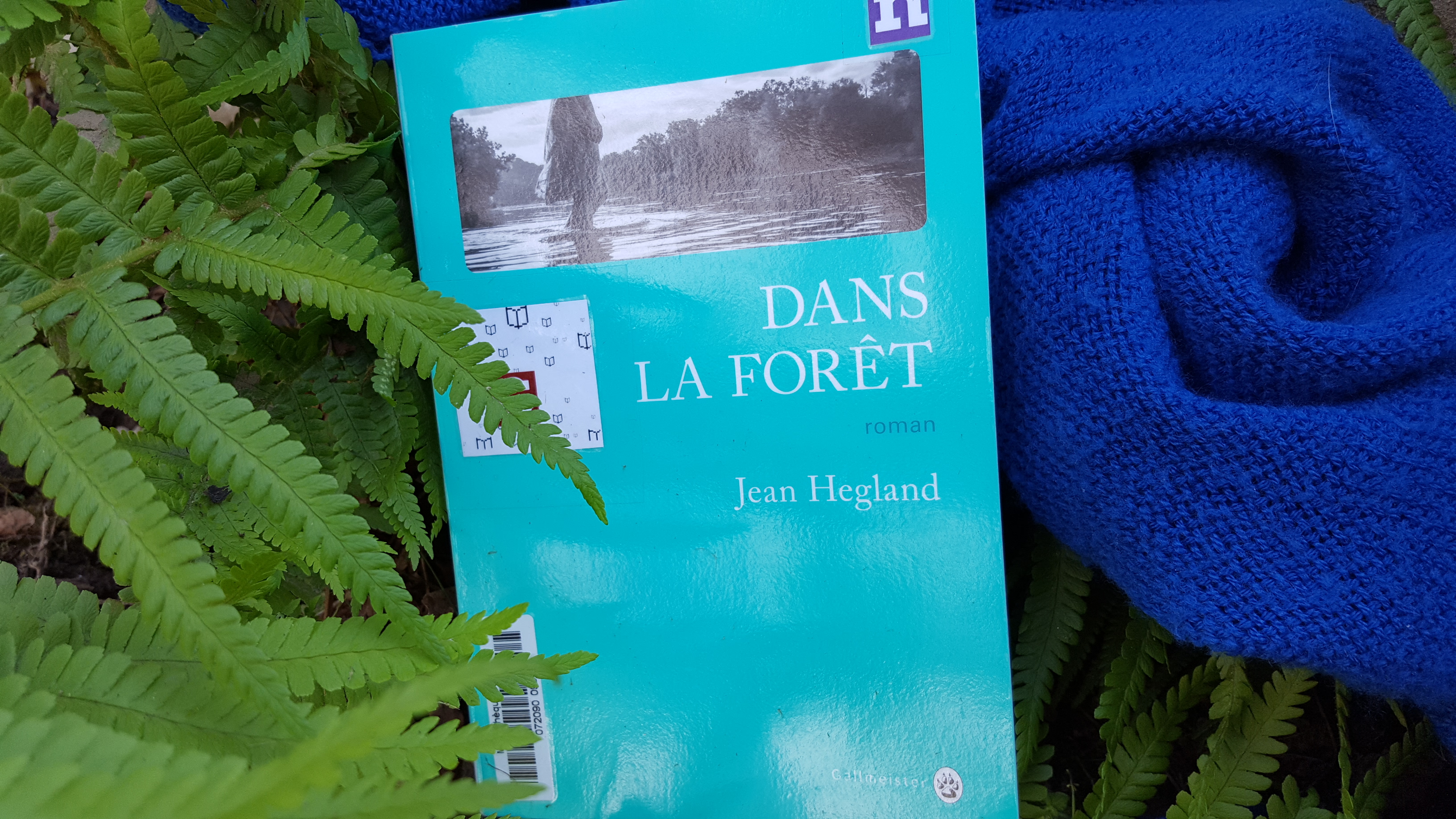 DANS LA FORET, Jean Hegland, éditions Gallmeister - Librairie Au Temps Lire